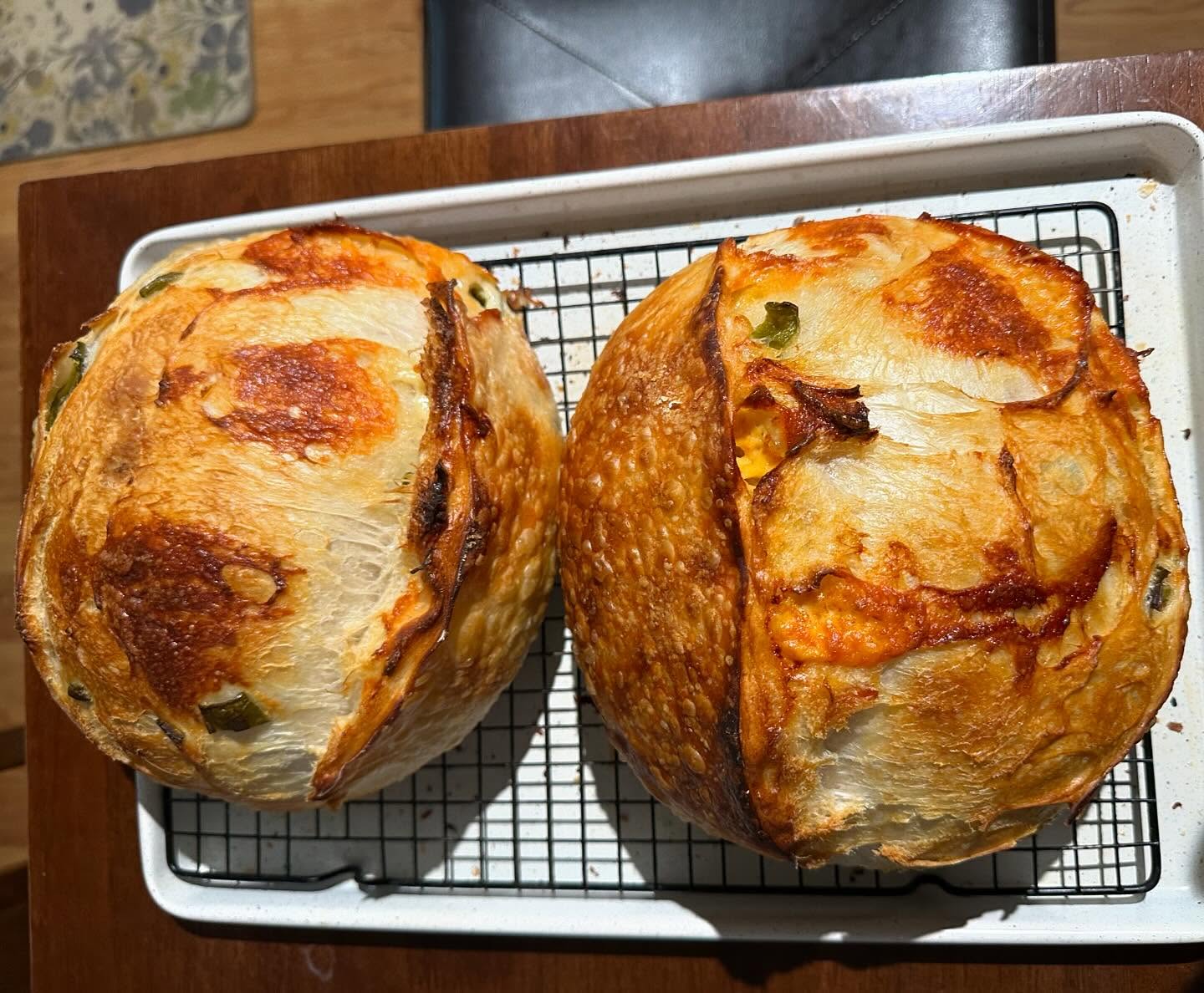 Fresh From the Oven